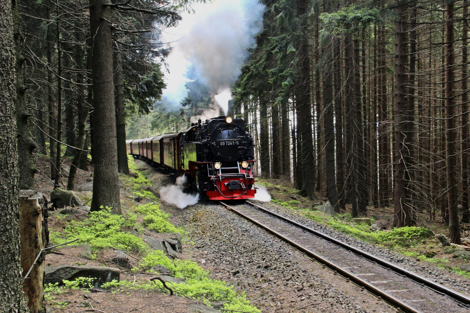 Die Brockenbahn auf dem Weg von Schierke zum Gipfel.