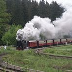 Die Brockenbahn auf dem Weg zum Brocken