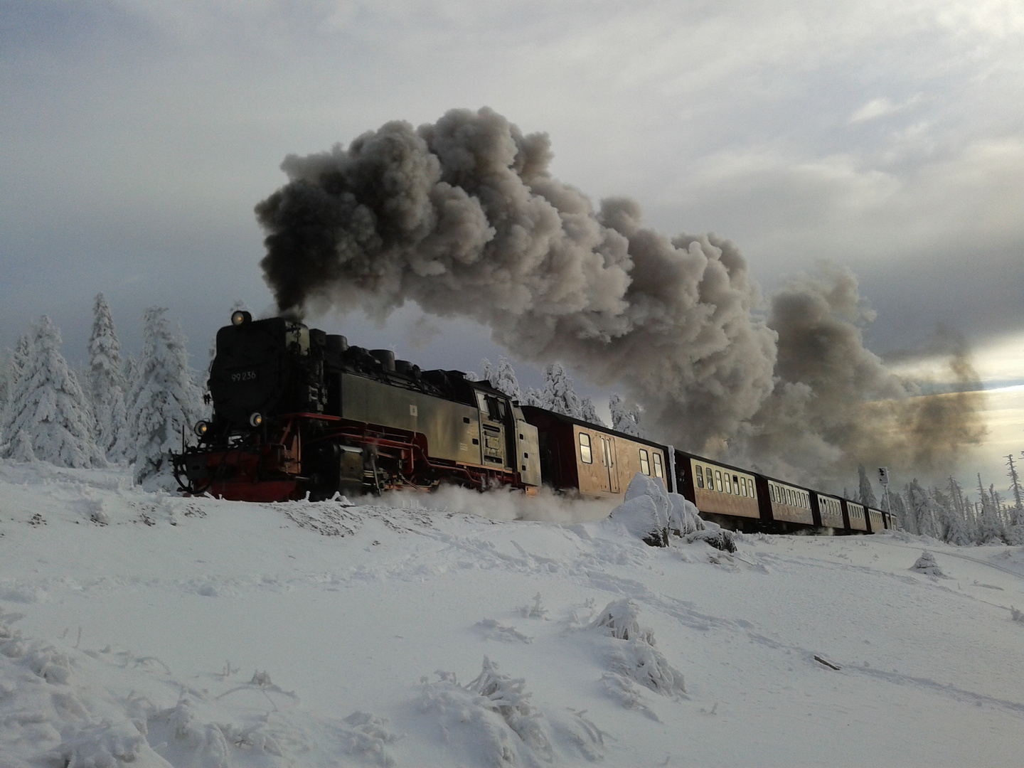 Die Brockenbahn auf dem Weg zum Gipfel