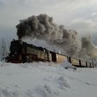 Die Brockenbahn auf dem Weg zum Gipfel