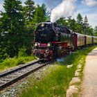 Die Brockenbahn auf dem Weg zum Gipfel