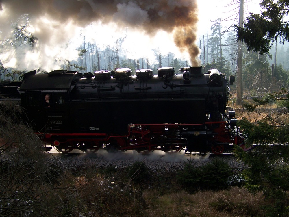 Die Brockenbahn im Harz im Gegenlicht - Ein Schnappschuss für Genießer