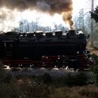 Die Brockenbahn im Harz im Gegenlicht - Ein Schnappschuss für Genießer