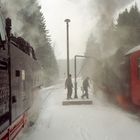 Die Brockenbahn im Schneegestöber