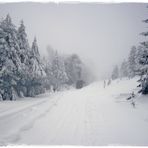 Die Brockenbahn kämpft sich hinauf