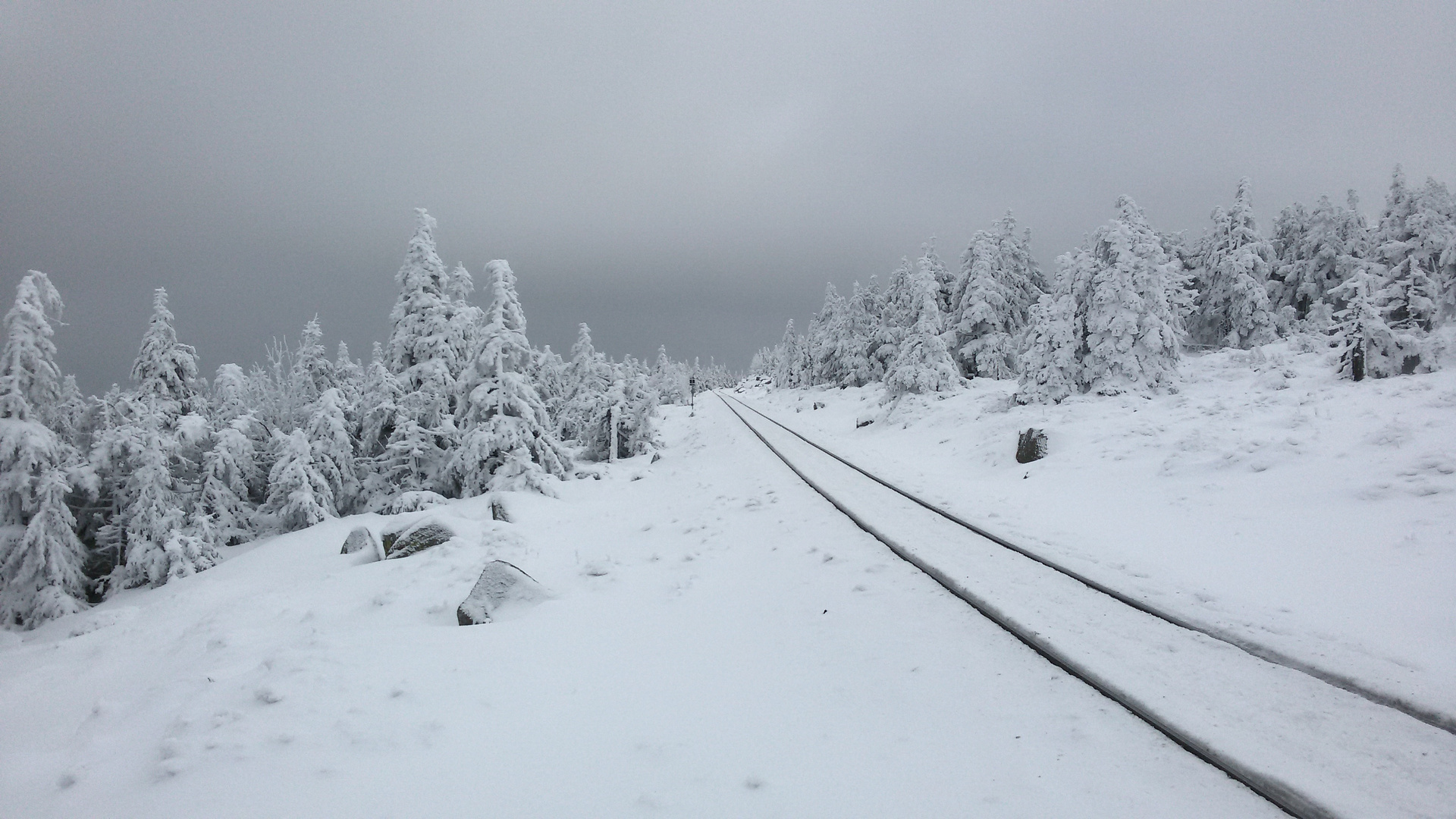 Die Brockenbahn kommt bald...