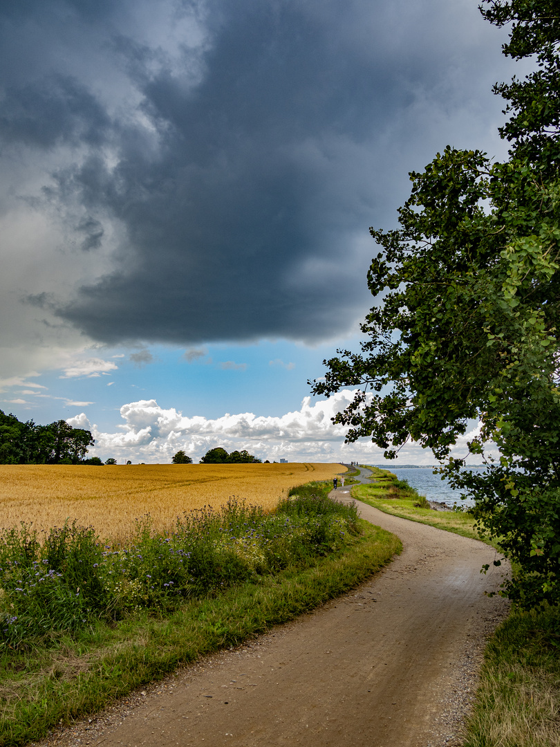  Die Brodtener Steilküste