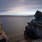 Die Bronzelöwen am Starnberger See ...