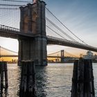 Die Brooklyn Bridge - D75_1105