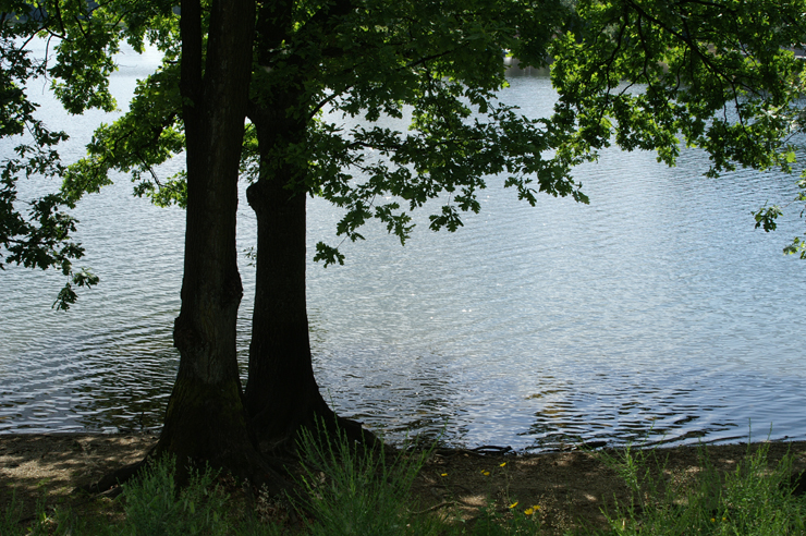Die Brucher Talsperre Foto & Bild landschaft, bach, fluss & see