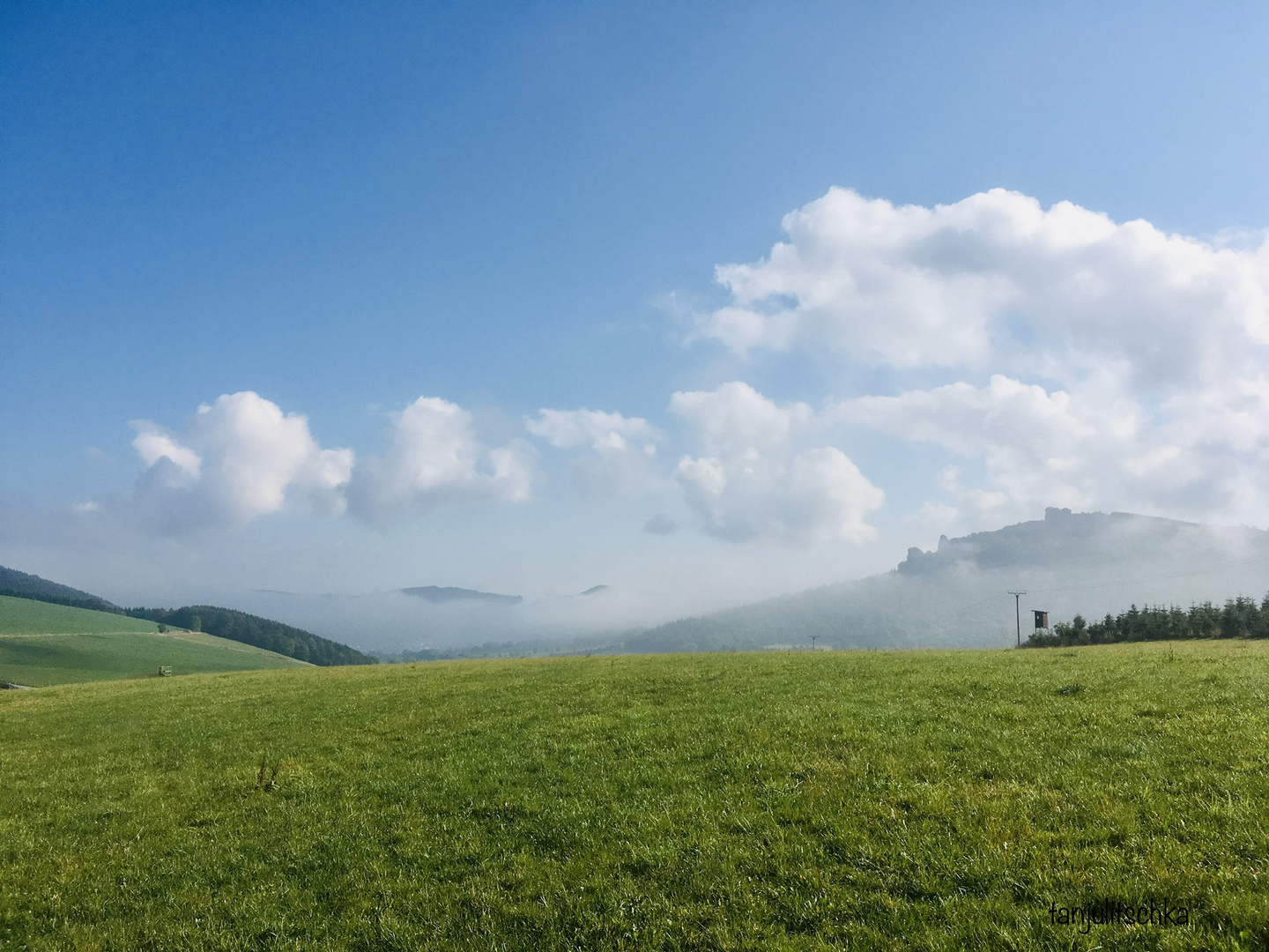 Die Bruchhauser Steine im Nebel 