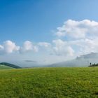 Die Bruchhauser Steine im Nebel 