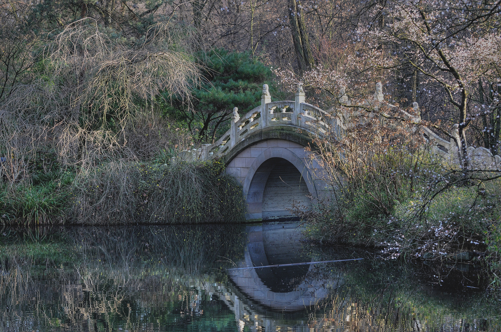 die Brücke