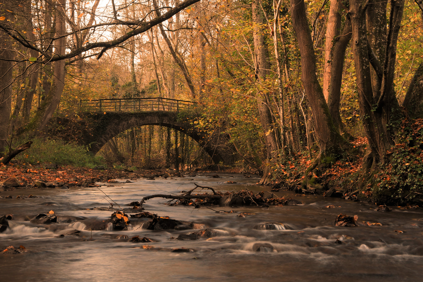 Die Brücke