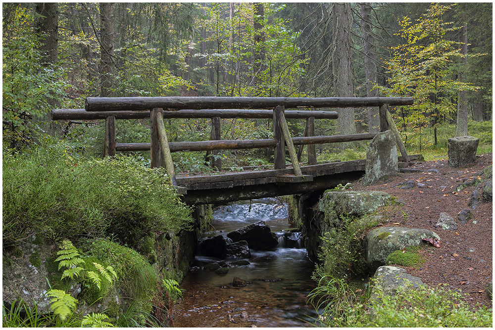 Die Brücke