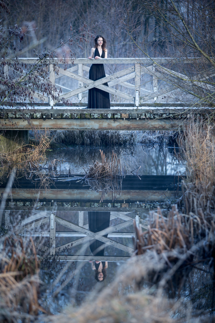 Die Brücke