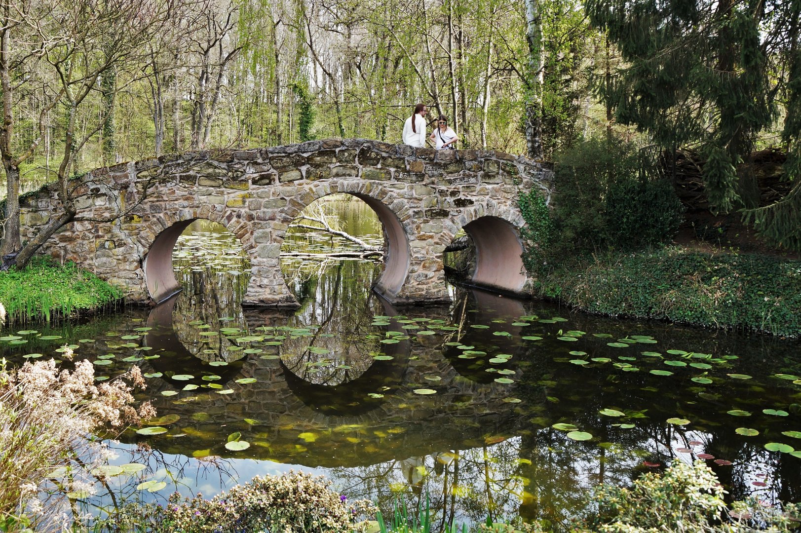 Die Brücke ...