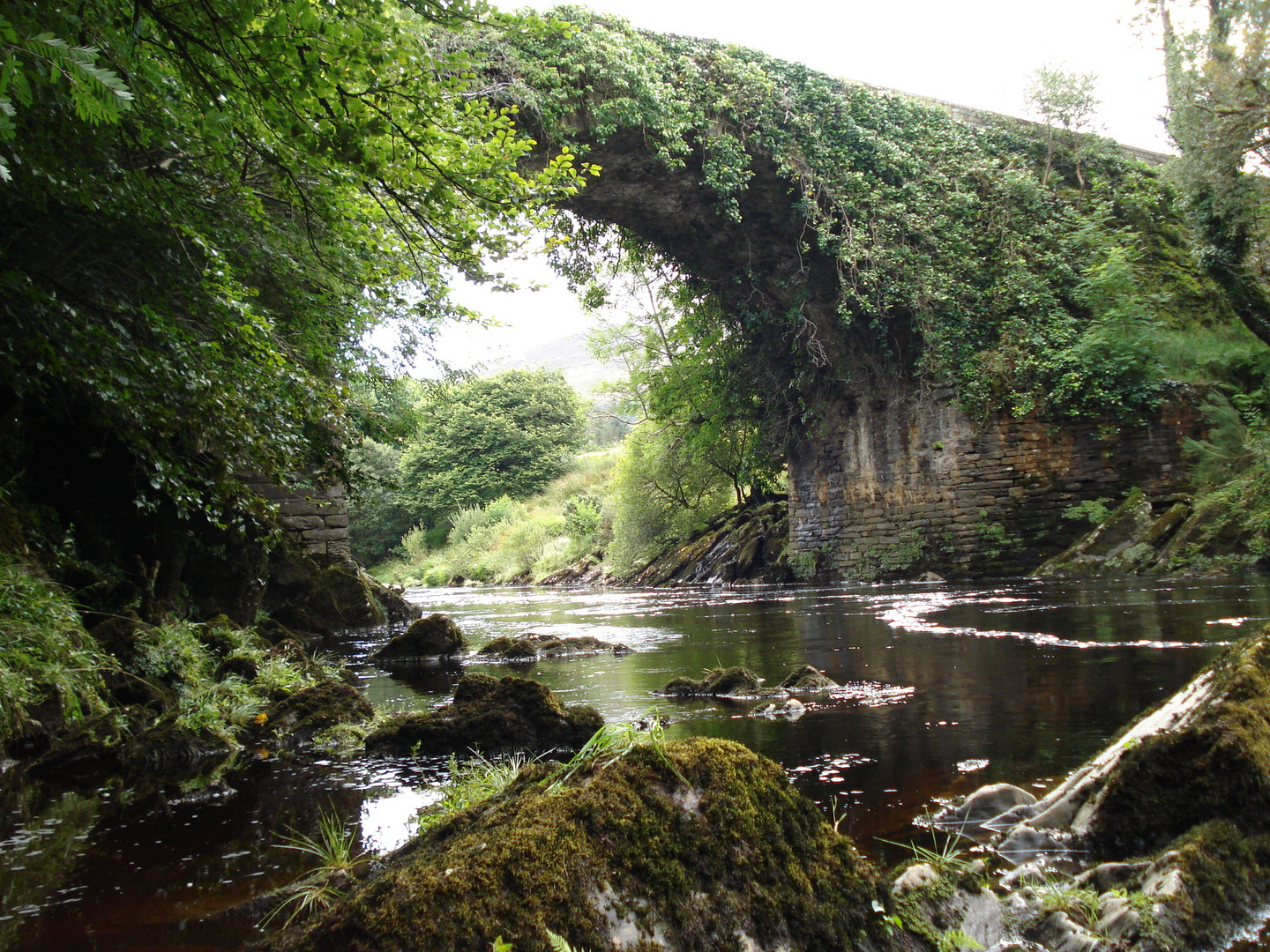 die Brücke