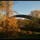 ~ Die Brücke ~