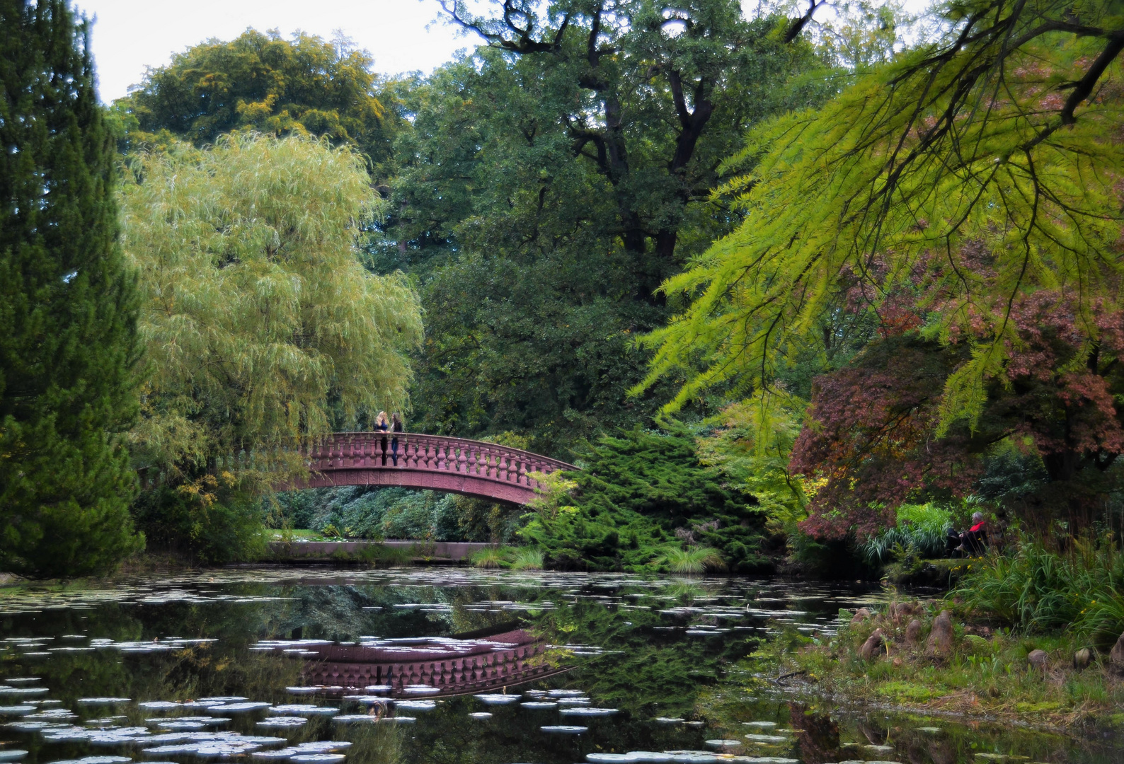 Die Brücke