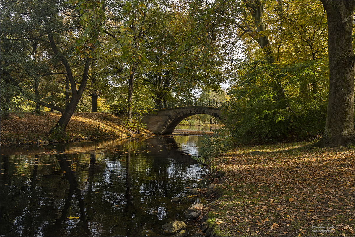 Die Brücke