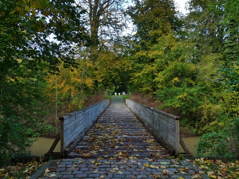 Die Brücke