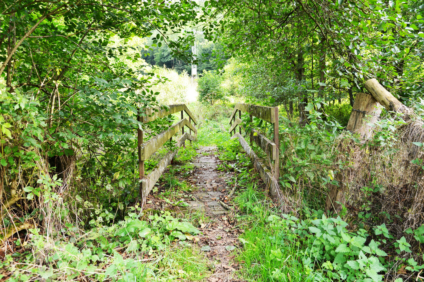 Die Brücke