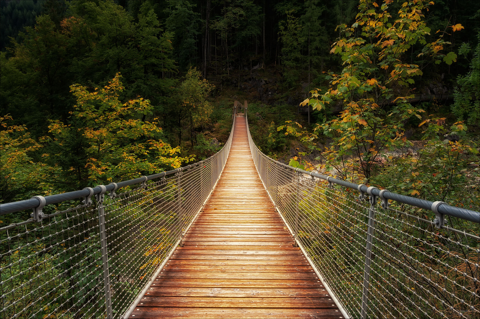 Die Brücke