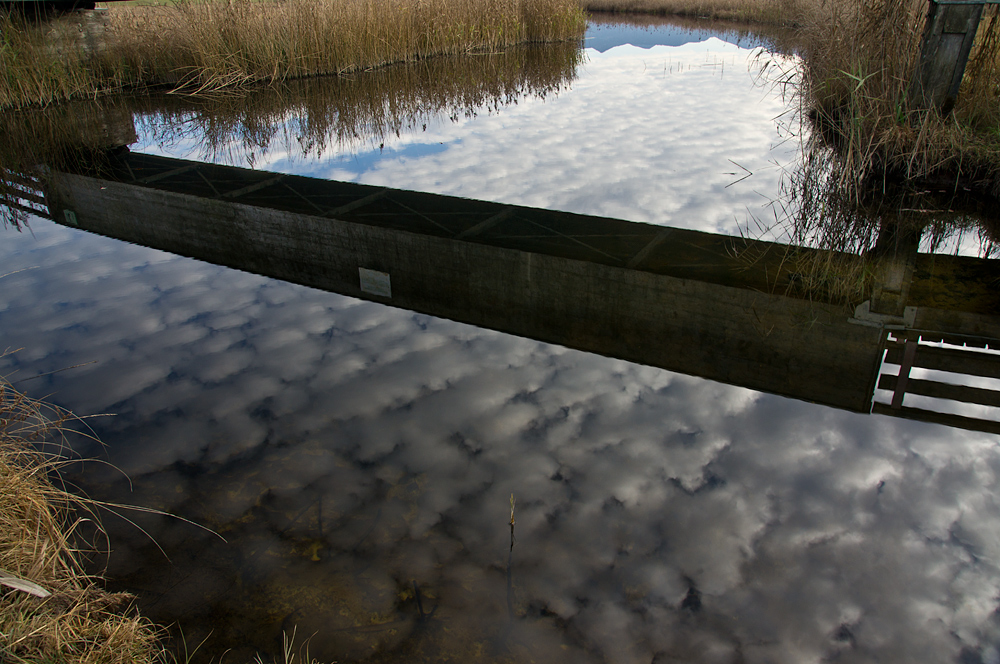 die Brücke