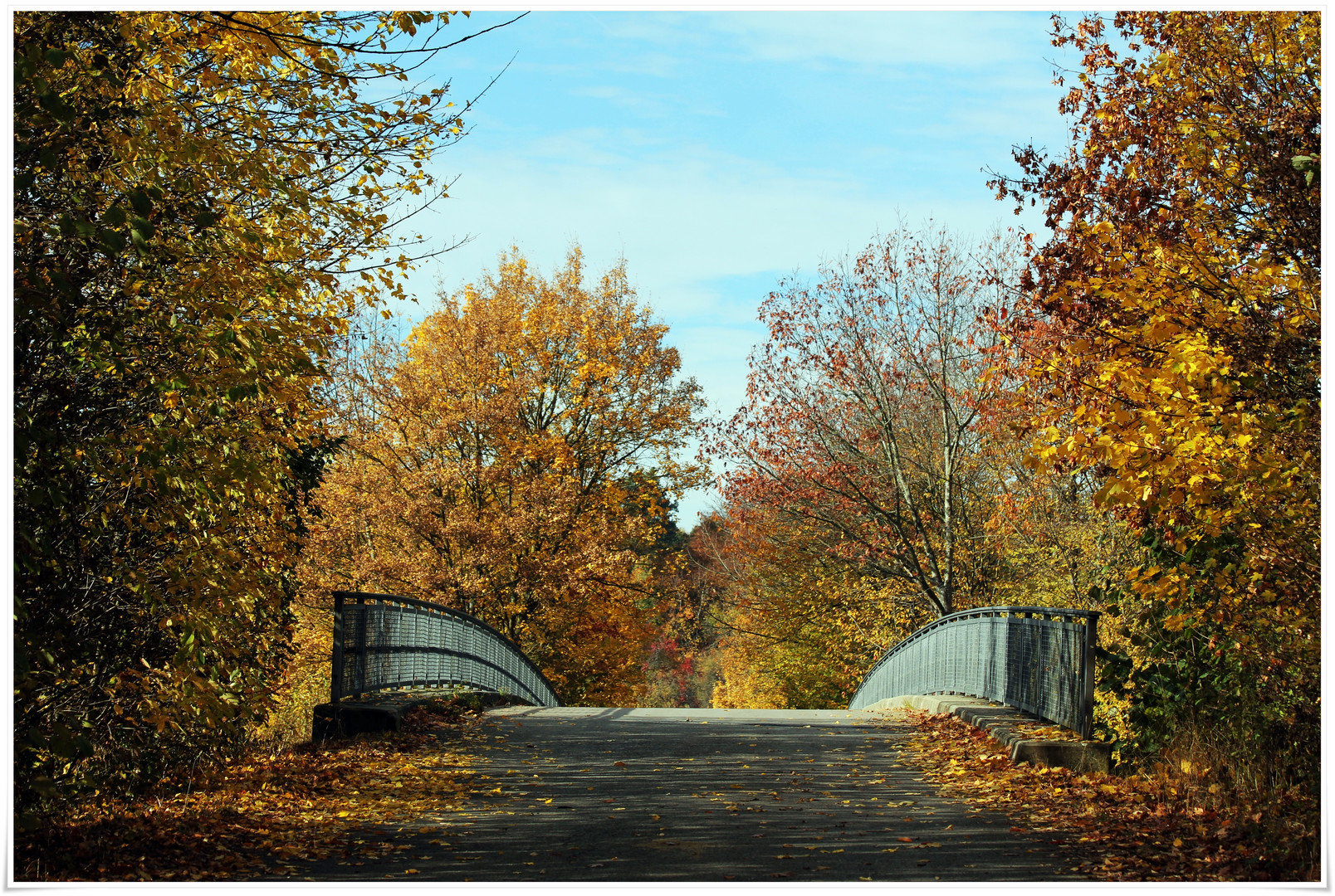 die Brücke