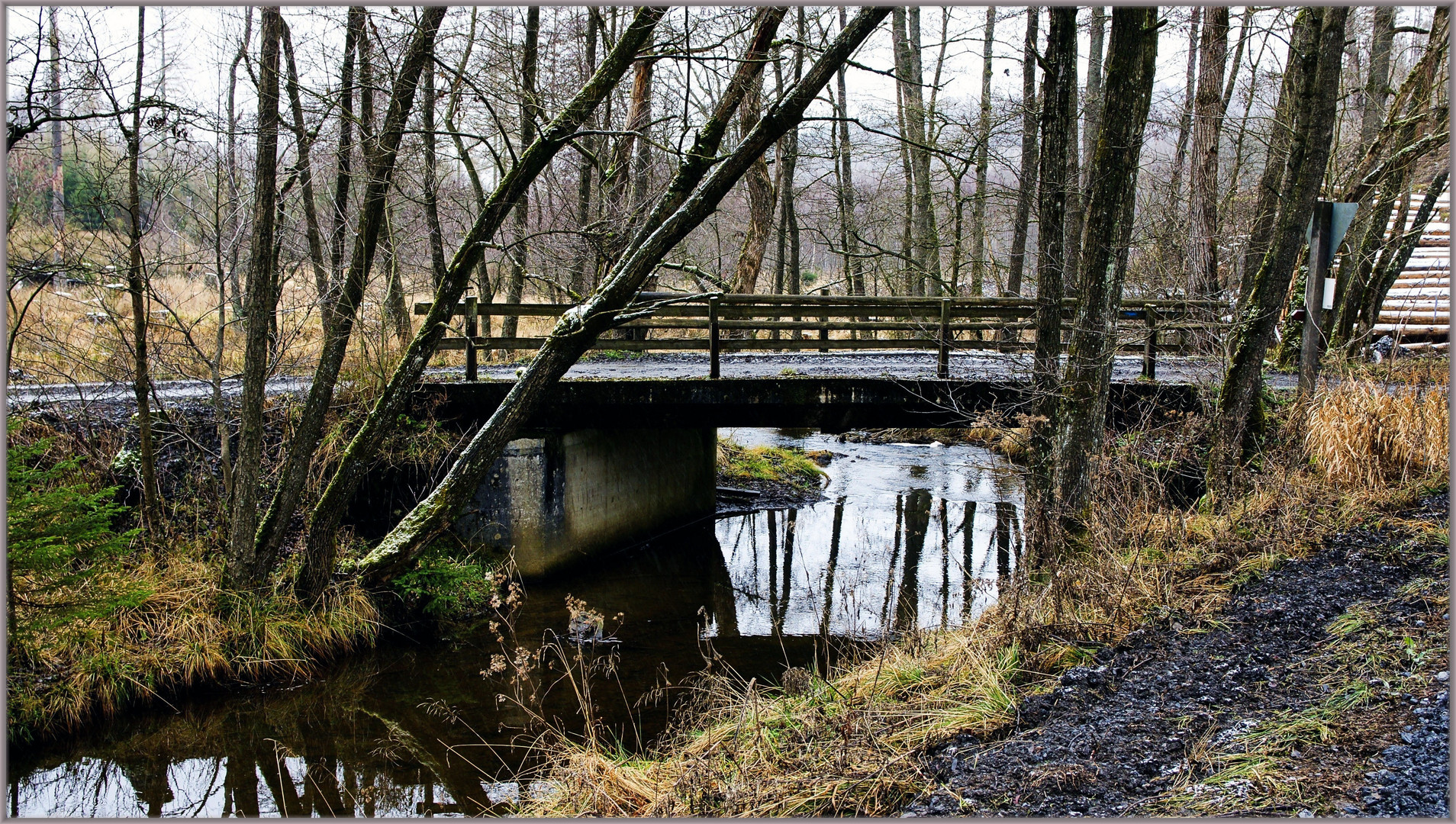 Die Brücke ...