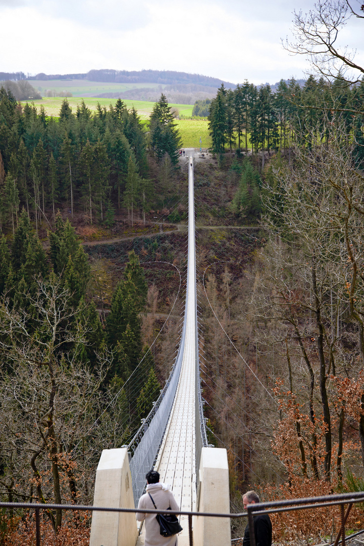 Die Brücke.