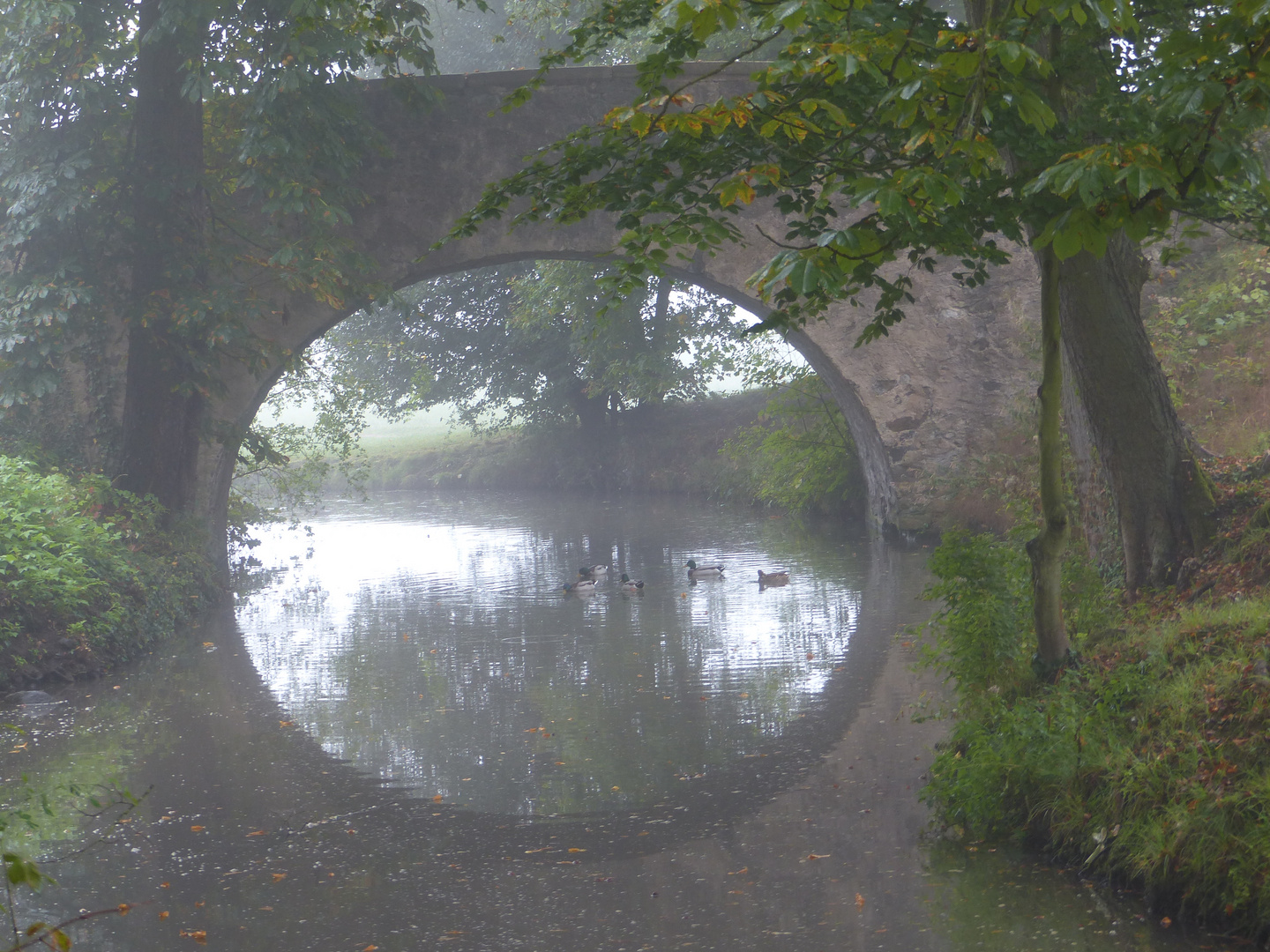 Die Brücke ...