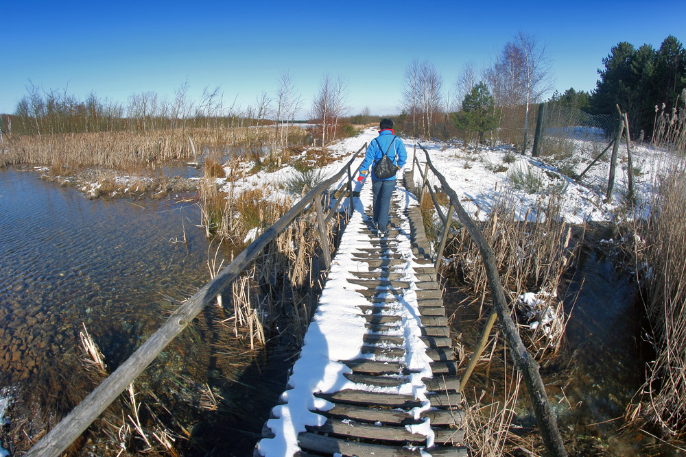 Die Brücke