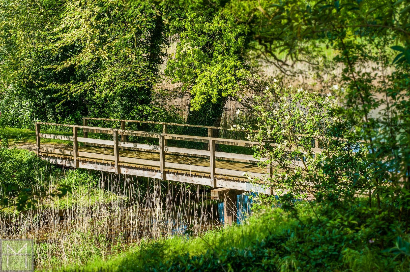 Die Brücke 