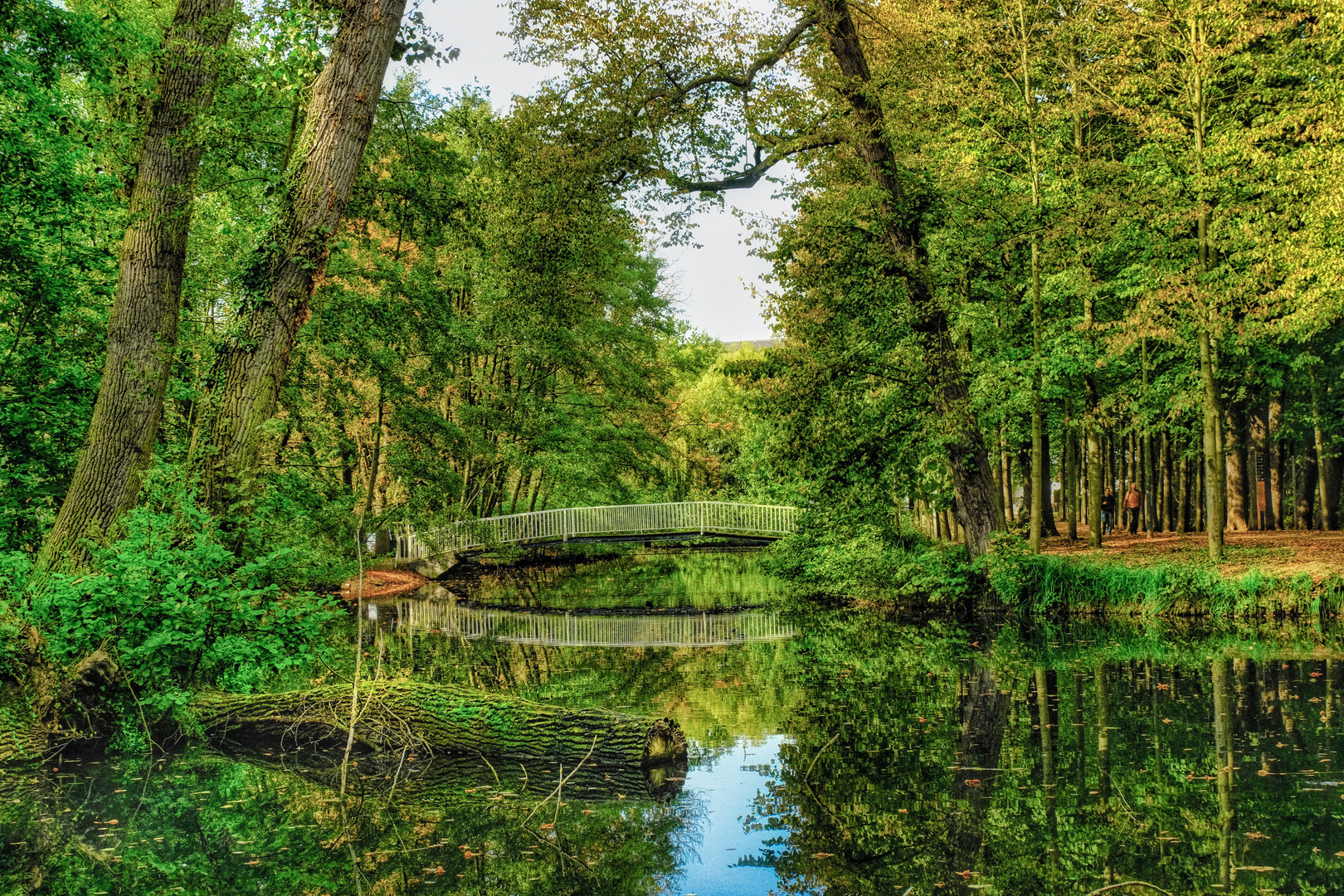 die Brücke