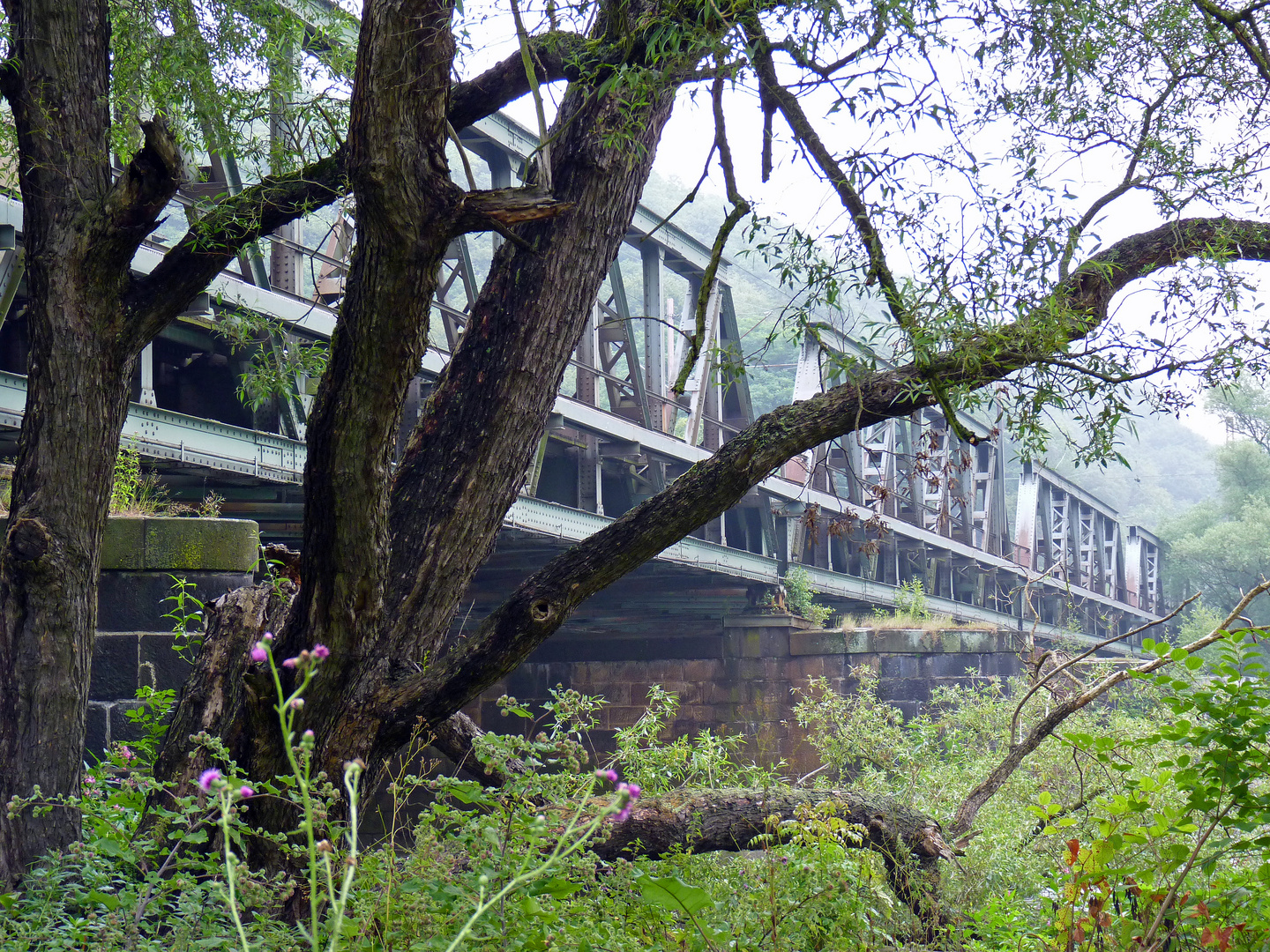 Die Brücke...