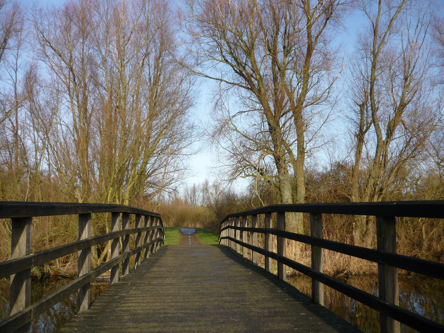 Die Brücke - A ponte