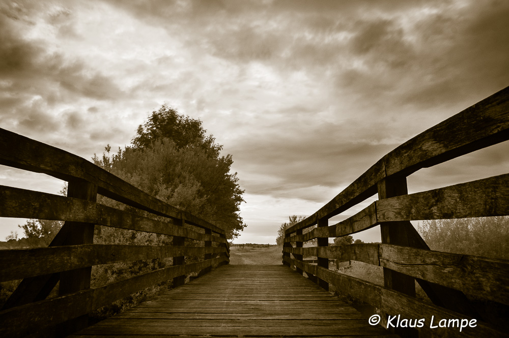 Die Brücke