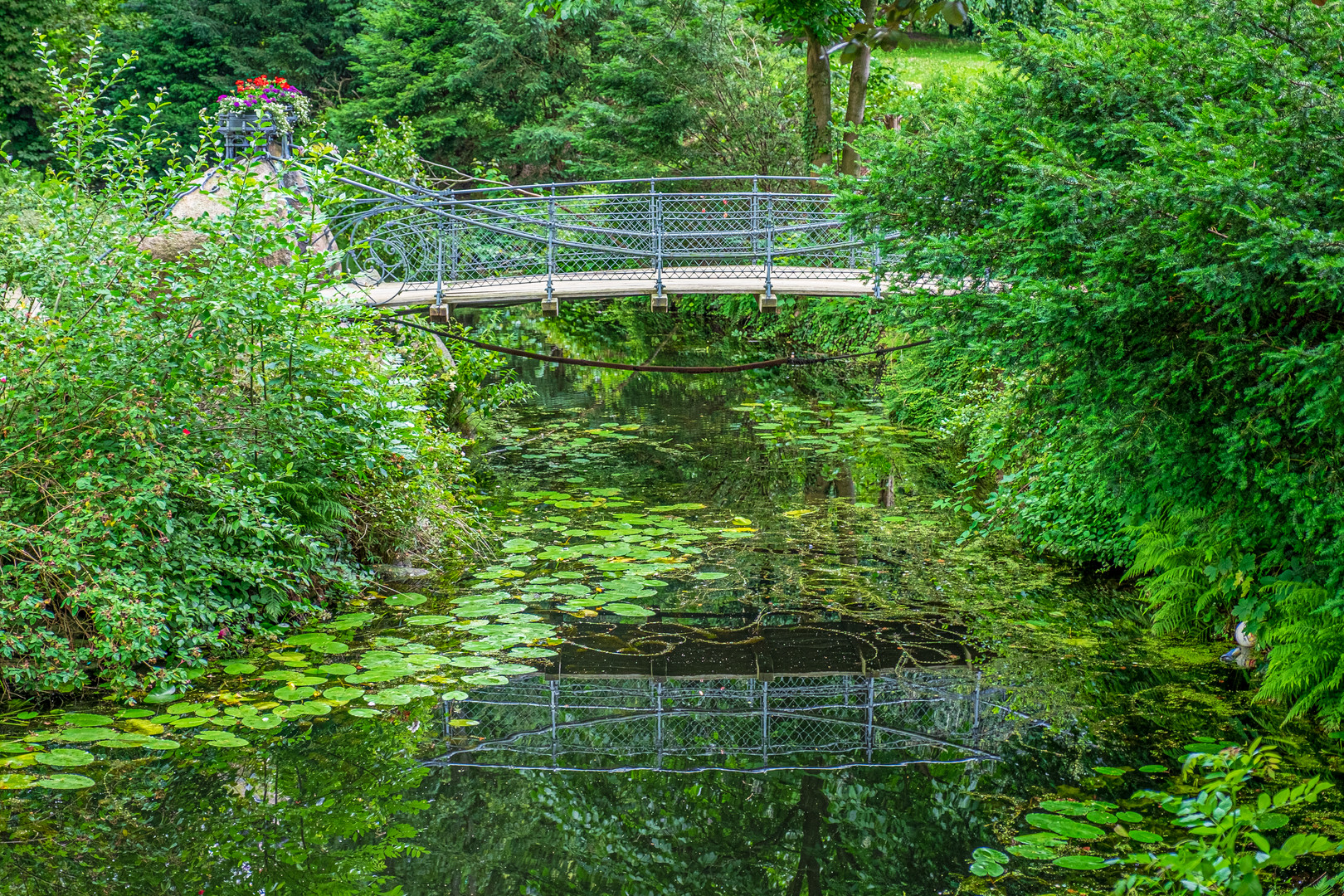 Die Brücke