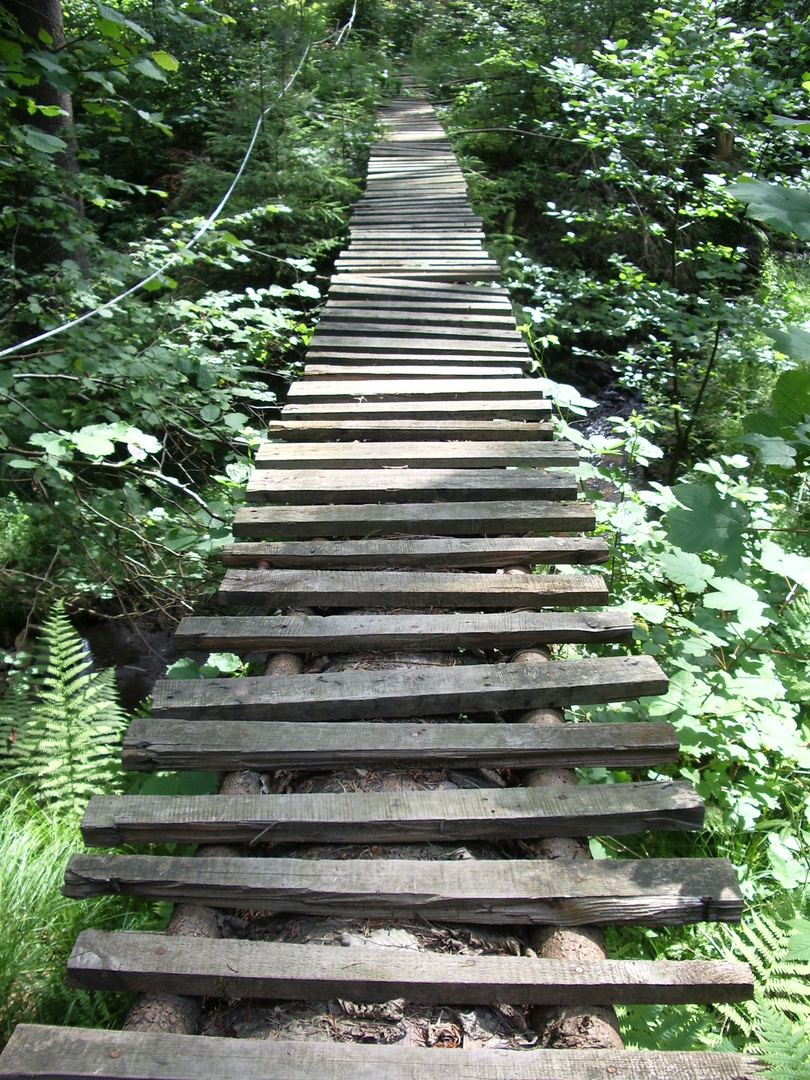 die Brücke am ...