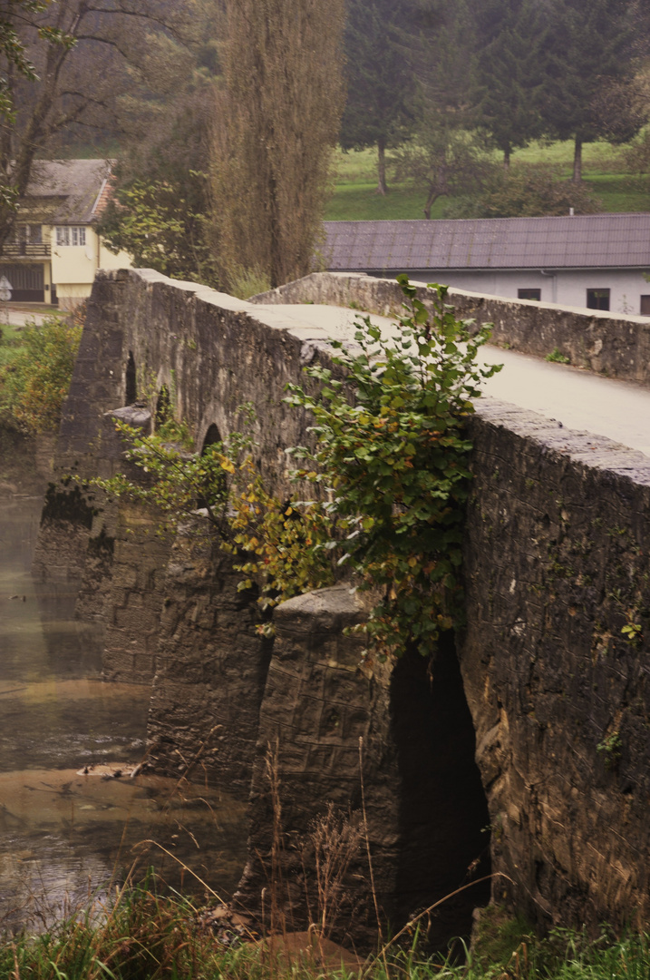 Die Brücke am Fluss