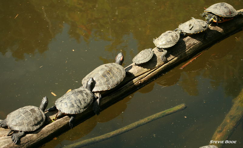 Die Brücke am Fluss....