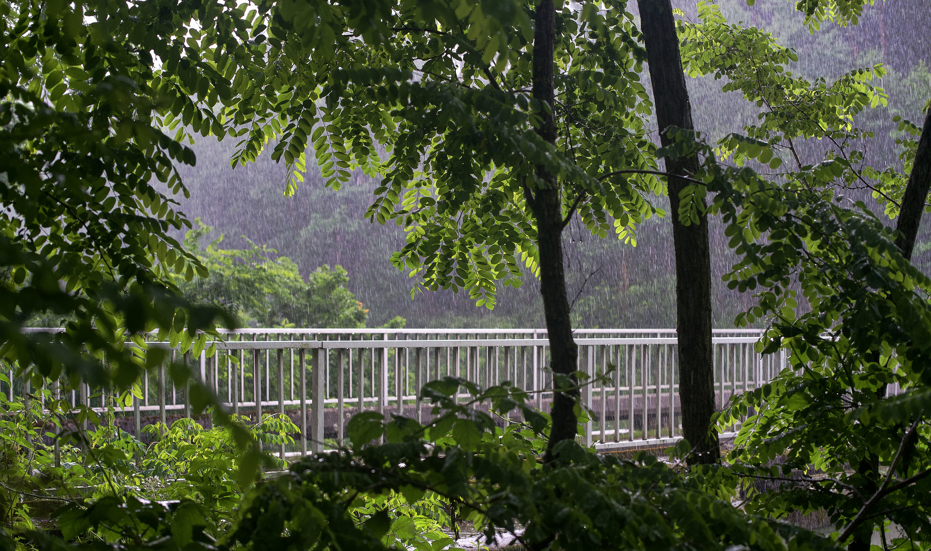 Die Brücke am Kwai 