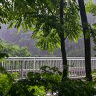 Die Brücke am Kwai 