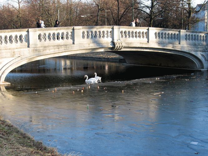 Die Brücke am Nymphenburger Kanal