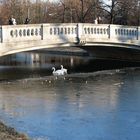 Die Brücke am Nymphenburger Kanal