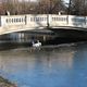 Die Brcke am Nymphenburger Kanal