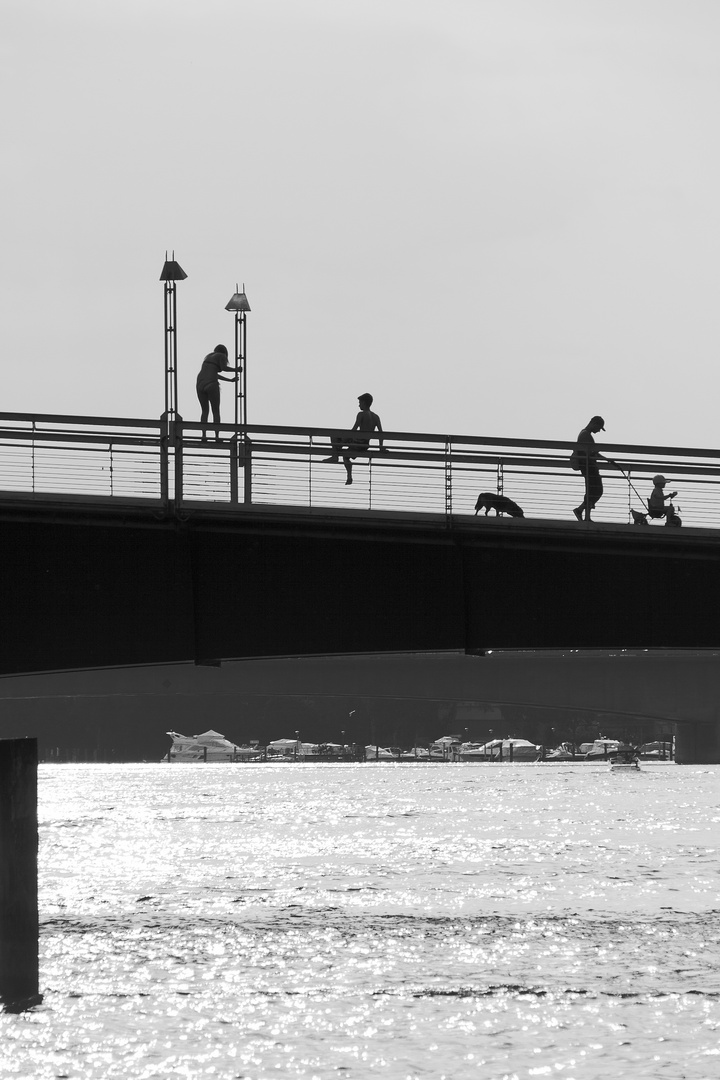 Die Brücke am Rhein