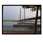 Die Brücke am Rhein